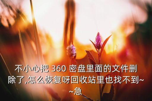 不小心把 360 密盤里面的文件刪除了,怎么恢復(fù)呀回收站里也找不到~~急