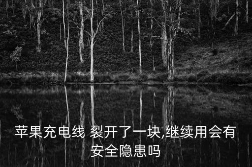 數據線借口裂開,充電器白色的外皮破了