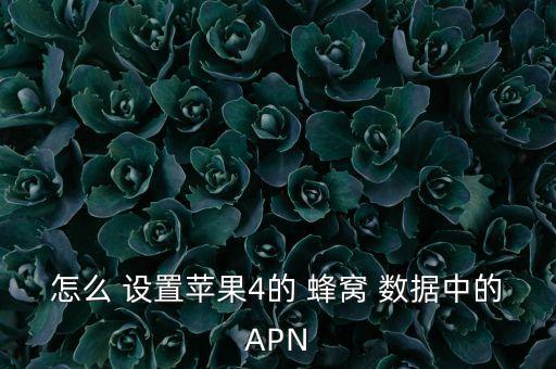 怎么 設(shè)置蘋果4的 蜂窩 數(shù)據(jù)中的APN