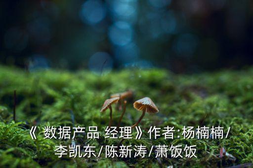《 數(shù)據(jù)產(chǎn)品 經(jīng)理》作者:楊楠楠/李凱東/陳新濤/蕭飯飯