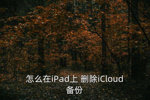 怎么在iPad上 刪除iCloud備份