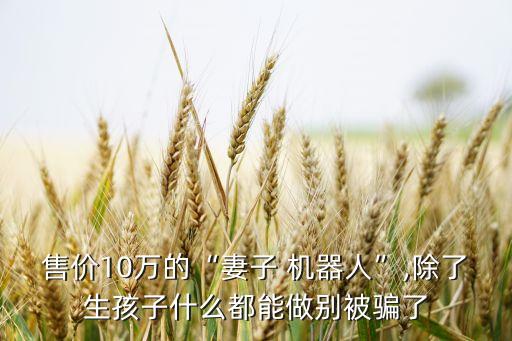 售價(jià)10萬(wàn)的“妻子 機(jī)器人”,除了生孩子什么都能做別被騙了