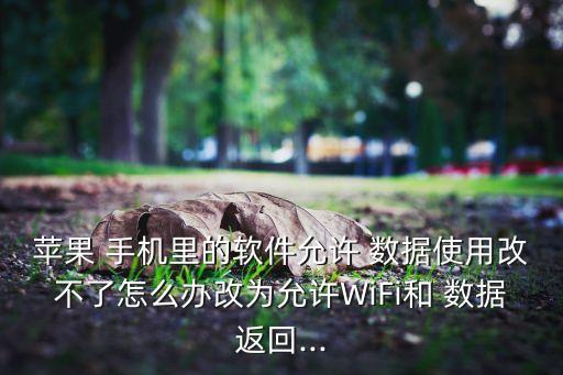 蘋果 手機里的軟件允許 數(shù)據(jù)使用改不了怎么辦改為允許WiFi和 數(shù)據(jù)返回...