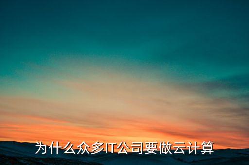 為什么眾多IT公司要做云計算