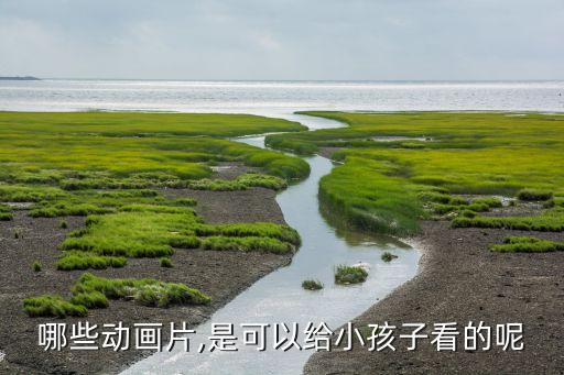 哪些動(dòng)畫片,是可以給小孩子看的呢