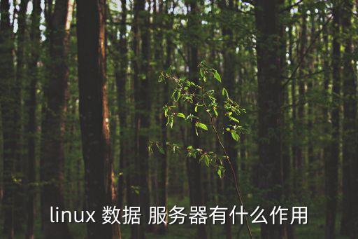 數(shù)據(jù)服務(wù)總線 開源,dsb數(shù)據(jù)服務(wù)總線