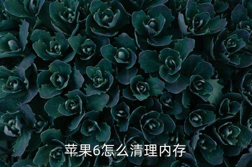蘋(píng)果6怎么清理內(nèi)存