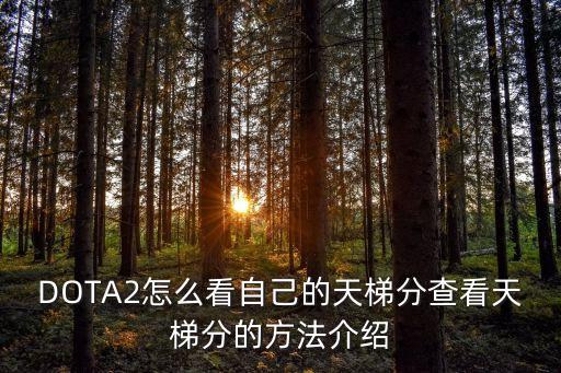 steam dota2公開(kāi)數(shù)據(jù),dota2必須在steam上玩嗎