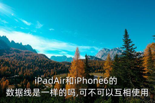 iPadAir和iPhone6的 數(shù)據(jù)線是一樣的嗎,可不可以互相使用