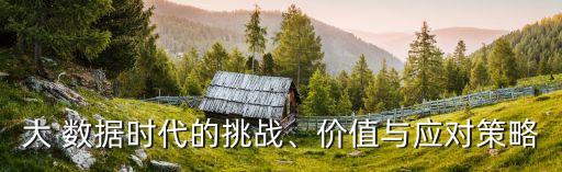 流量經(jīng)營與大數(shù)據(jù),大數(shù)據(jù)經(jīng)營專業(yè)