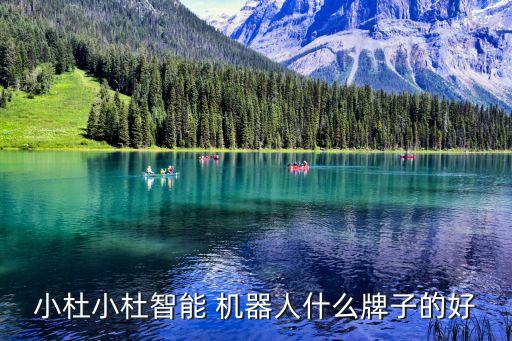 小杜小杜智能 機(jī)器人什么牌子的好