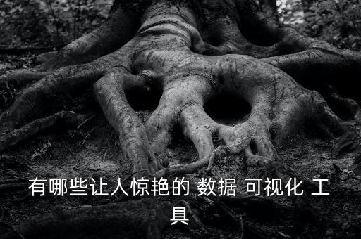 有哪些讓人驚艷的 數(shù)據(jù) 可視化 工具