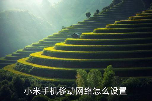 小米手機(jī)移動(dòng)網(wǎng)絡(luò)怎么設(shè)置