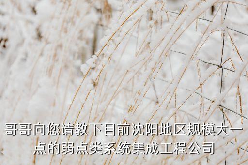 哥哥向您請(qǐng)教下目前沈陽地區(qū)規(guī)模大一點(diǎn)的弱點(diǎn)類系統(tǒng)集成工程公司