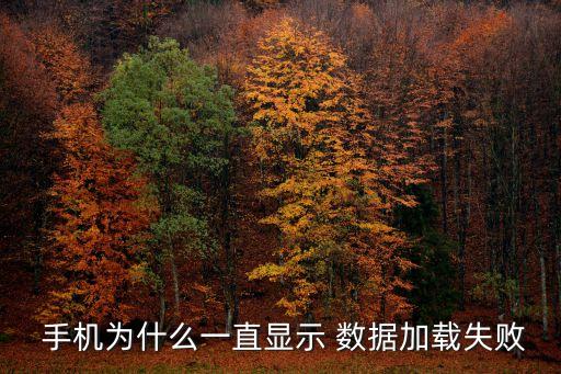 手機(jī)數(shù)據(jù)出錯(cuò)怎么回事,wps有的數(shù)據(jù)出錯(cuò)怎么回事