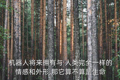  機器人將來擁有與 人類完全一樣的 情感和外形,那它算不算是生命