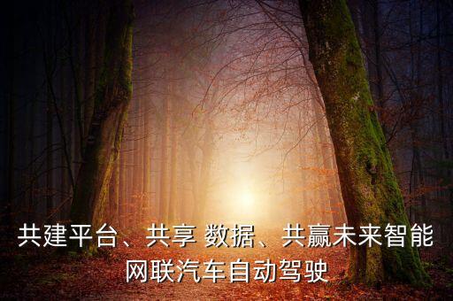 清華大數(shù)據(jù)產(chǎn)業(yè)聯(lián)盟,中國大數(shù)據(jù)生態(tài)產(chǎn)業(yè)聯(lián)盟CDA