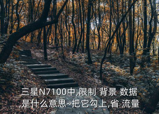 三星N7100中,限制 背景 數(shù)據(jù),是什么意思~把它勾上,省 流量