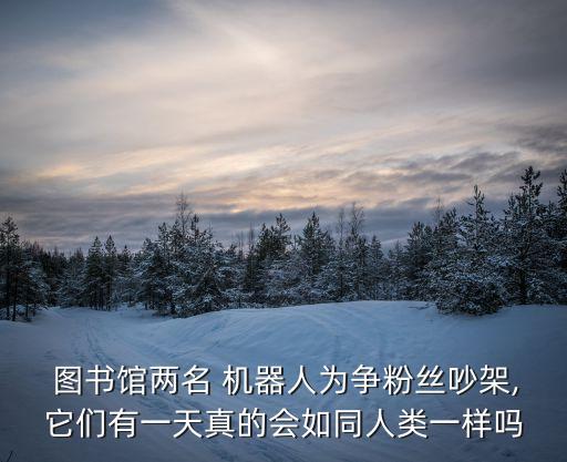  圖書館兩名 機器人為爭粉絲吵架,它們有一天真的會如同人類一樣嗎