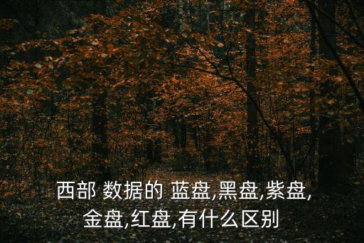  西部 數(shù)據(jù)的 藍(lán)盤,黑盤,紫盤,金盤,紅盤,有什么區(qū)別