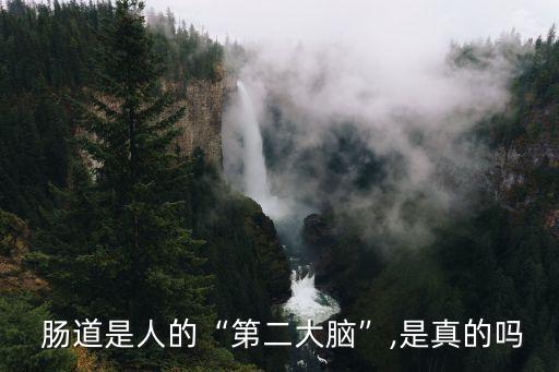  腸道是人的“第二大腦”,是真的嗎