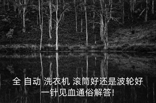 全 自動 洗衣機(jī) 滾筒好還是波輪好一針見血通俗解答!