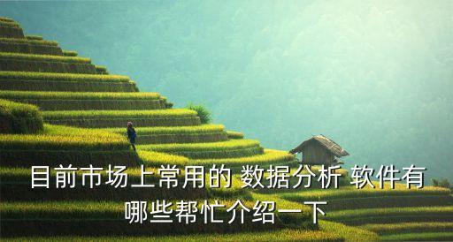 目前市場上常用的 數(shù)據(jù)分析 軟件有哪些幫忙介紹一下