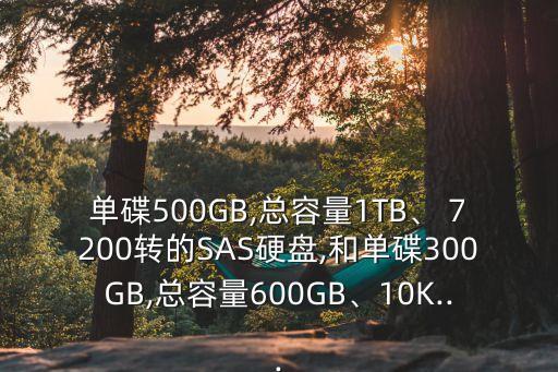 數(shù)據(jù)盤7200轉(zhuǎn)sas可以嗎