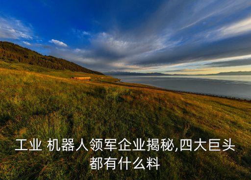 工業(yè) 機(jī)器人領(lǐng)軍企業(yè)揭秘,四大巨頭都有什么料