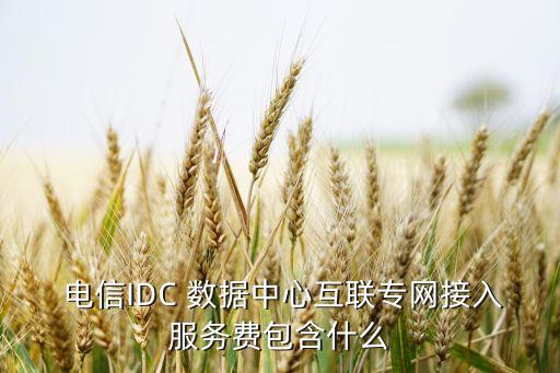  電信IDC 數(shù)據(jù)中心互聯(lián)專(zhuān)網(wǎng)接入服務(wù)費(fèi)包含什么