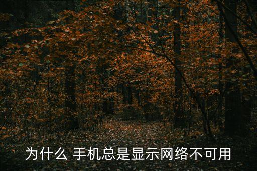為什么 手機(jī)總是顯示網(wǎng)絡(luò)不可用