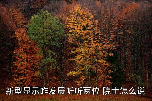 新型顯示咋發(fā)展聽聽兩位 院士怎么說