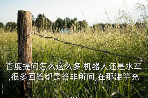 百度提問(wèn)怎么這么多 機(jī)器人還是水軍,很多回答都是答非所問(wèn),在那濫竽充...