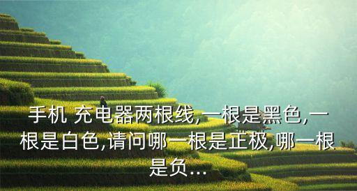 充電器數(shù)據(jù)線正負(fù)極,車載充電器正負(fù)極怎么分