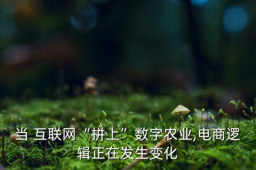 當(dāng) 互聯(lián)網(wǎng)“拼上”數(shù)字農(nóng)業(yè),電商邏輯正在發(fā)生變化