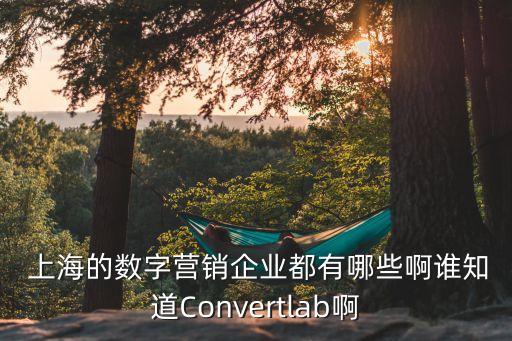 上海的大數(shù)據(jù)公司有哪些內(nèi)容是什么原因