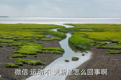  微信 運動不 更新是怎么回事啊