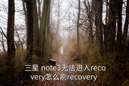  三星 note3無法進(jìn)入recovery怎么刷recovery