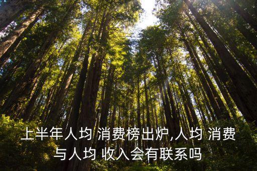 消費與收入的數(shù)據(jù)分析,中國家庭收入調(diào)查數(shù)據(jù)分析