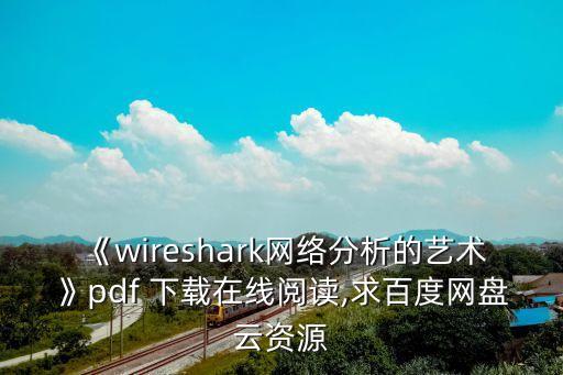 《wireshark網(wǎng)絡分析的藝術》pdf 下載在線閱讀,求百度網(wǎng)盤云資源