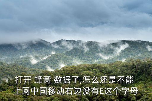 打開 蜂窩 數(shù)據(jù)了,怎么還是不能 上網(wǎng)中國移動右邊沒有E這個字母