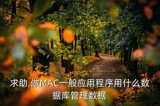 mac 數(shù)據(jù)處理