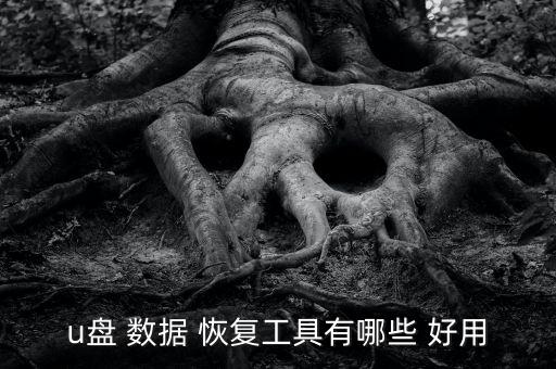 u盤 數(shù)據(jù) 恢復(fù)工具有哪些 好用