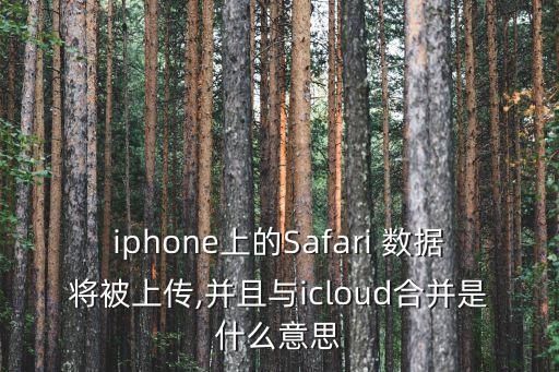ipad上的safari數(shù)據(jù)