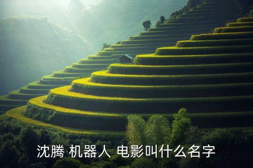 機器人的電影名