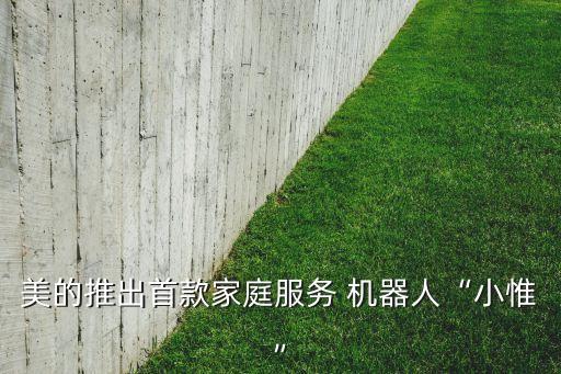 美的推出首款家庭服務(wù) 機器人“小惟”