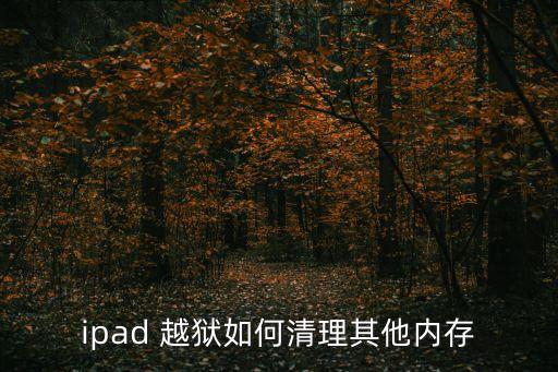 ipad 越獄如何清理其他內(nèi)存