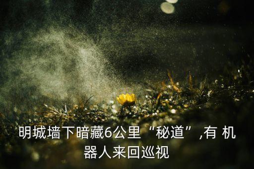 救生員機器人,機器人救生員emily