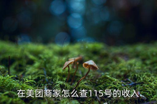 美團(tuán)網(wǎng)怎么查交易數(shù)據(jù)