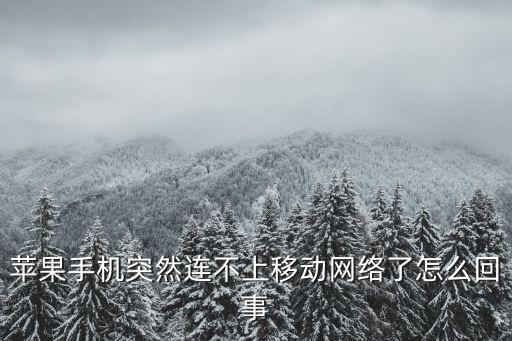 蘋果手機(jī)突然連不上移動(dòng)網(wǎng)絡(luò)了怎么回事